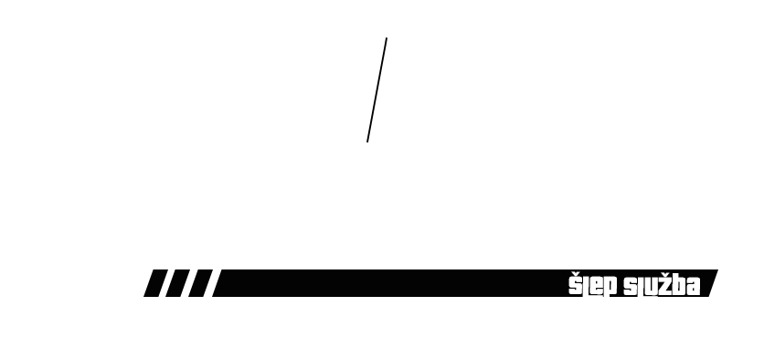 Šlep Služba Kočić